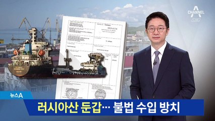 위조 증명서로 러시아산 둔갑…불법 수입 방치