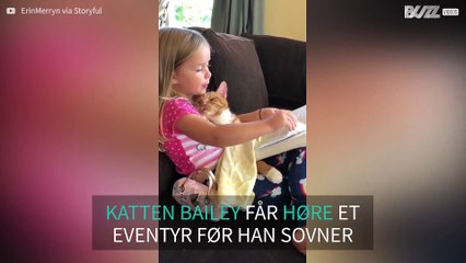 Jenta leser eventyr til katten og får den til å sovne