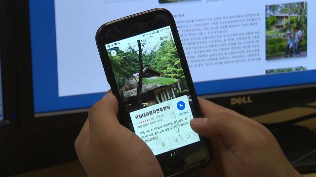 [대전·대덕] 산림청-카카오, 휴가철 숲 속 여행지 14곳 선정 / YTN