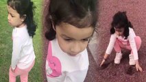 Ziva Dhoni's Cute Walk at Lawn with her Dog, Watch Video | FilmiBeat