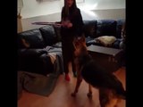 A dog imitates his mistress who makes hula hoop / Un chien imite sa maitresse qui fait du hula hoop