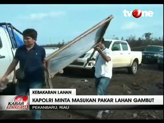 Polisi Riau Selidiki Perusahaan Pembakar Hutan