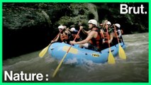 Costa Rica : voici l'un des meilleurs endroits pour faire du rafting