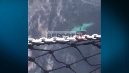 Report TV - Spektakël në detin Jon, tufa e delfinëve shoqëron anijen me turistë në Sarandë