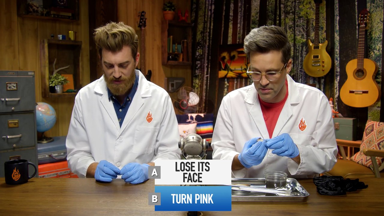 Leaving Things In Bleach For A Month (EXPERIMENT)