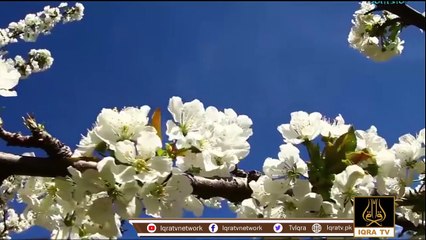 Gilgit  Baltistan: Jewel Of PAKISTAN | Land Of Beauty | ROOF OF WORLD | ہم گلگت بلتستان