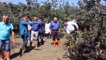 TZOB Heyeti sel bölgesinde - ORDU