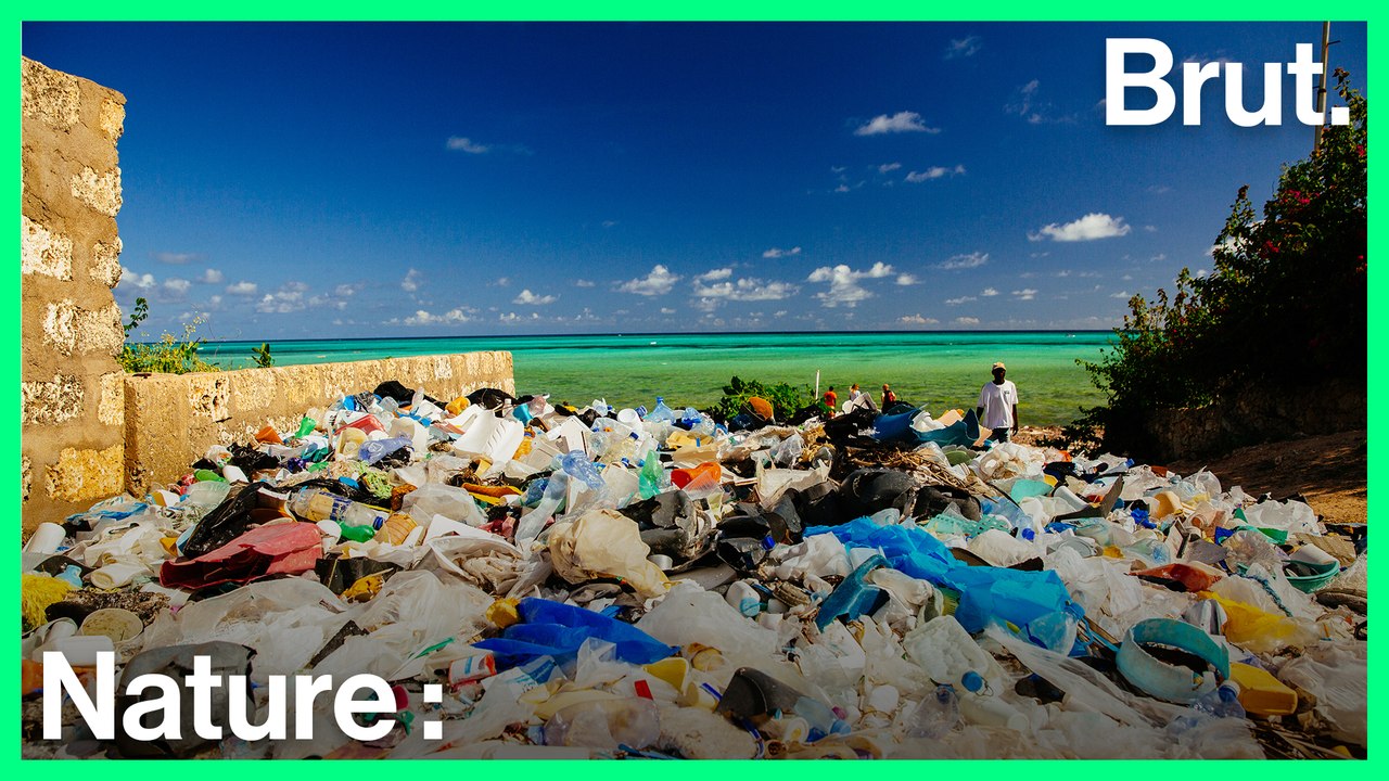 Interview d'une chargée de mission pour Surfrider