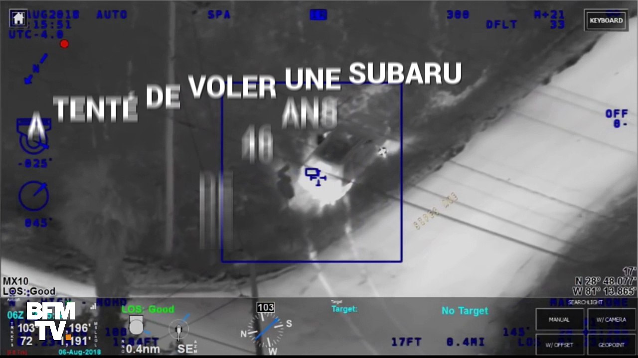 En Floride, elle voulait voler une voiture et finit poursuivie par des vaches