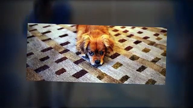 Rug Repair & Restoration Flatiron District