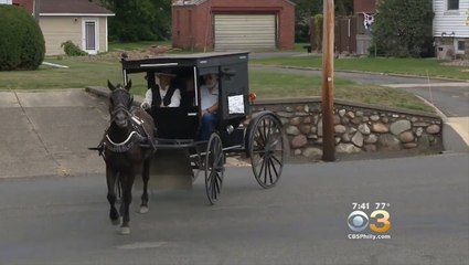 Distracted Police Officer, Hellcat Chase, Amish Uber, Wildfire Starter, Street Bike-Snowmobile Mash Up, And Fast Fails