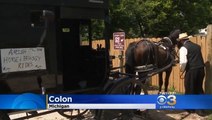 Ride Sharing Has Now Expanded To Amish Country