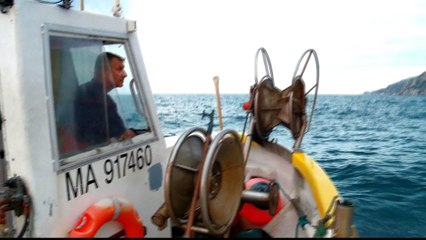 Local fishers in France struggle along with Mediterranean ecology