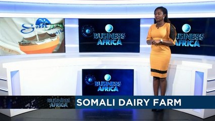 Le baobab africain au coeur d'un juteux commerce mondial [Business Africa]