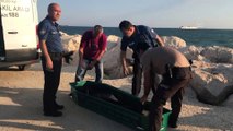 Mersin'de denize giren çocuk boğuldu