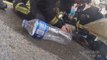 Spanish firefighters rescue tiny pup from burning building