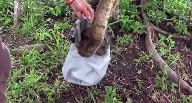 Walking The Americas S01 - Ep04 Panama, Darién Gap and Colombia HD Watch