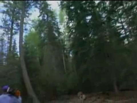 Phénomènes Inexpliqués : Enlèvements extraterrestres