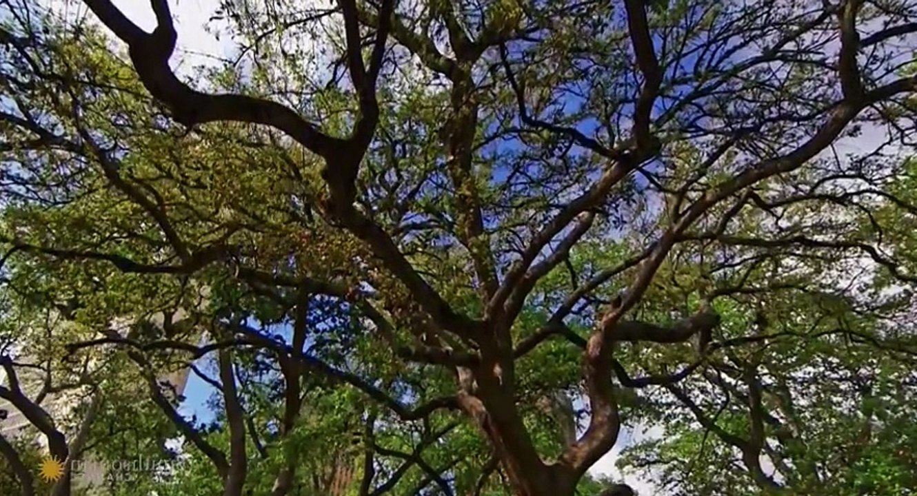 Major League Legends S01 - Ep01 Hank Aaron HD Watch