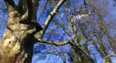 Homes Under the Hammer S19 - Ep29 Tue, 25th August 2015 - Part 01 HD Watch