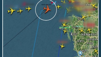 아시아나 여객기, 수화물 잘못 실어 회항 / YTN