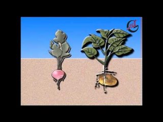 برنامج الأطفال لولو و بلبل ـ الحلقة 7 السابعة كاملة HD