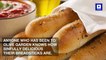 Why Olive Garden's Breadsticks Are Unlimited