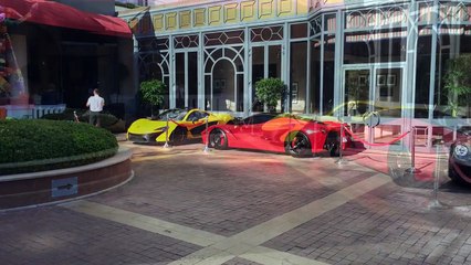 LaFerrari being pulled over by the police!