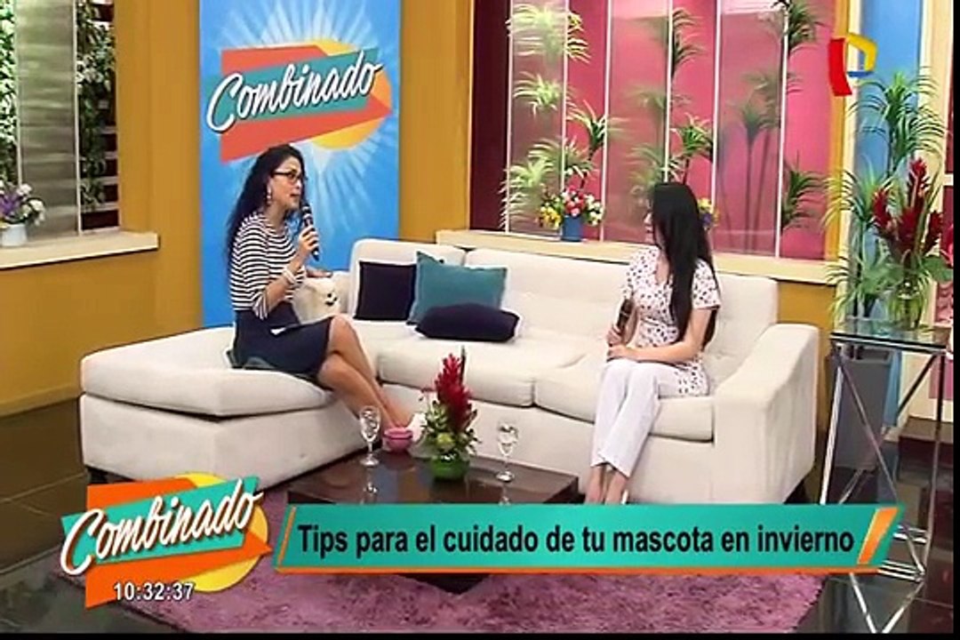 Sepa qué cuidados deben tener las mascotas durante el invierno