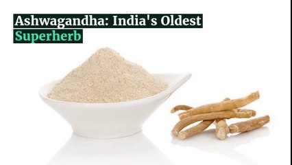 Health Benefits of “Indian Ginseng” Ashwagandha