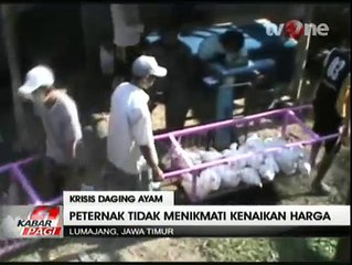Peternak Harga Ayam Potong Dikendalikan Tengkulak