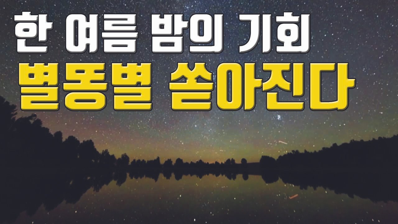 [자막뉴스] '한여름밤의 쇼' 하늘에서 별이 쏟아진다 / YTN