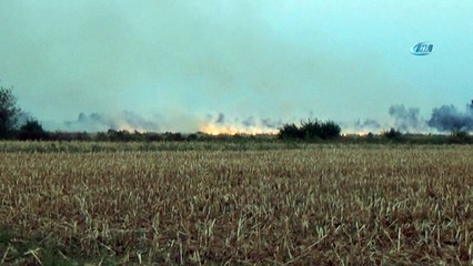 Anız yangını 400 dönüm tahılı yaktı