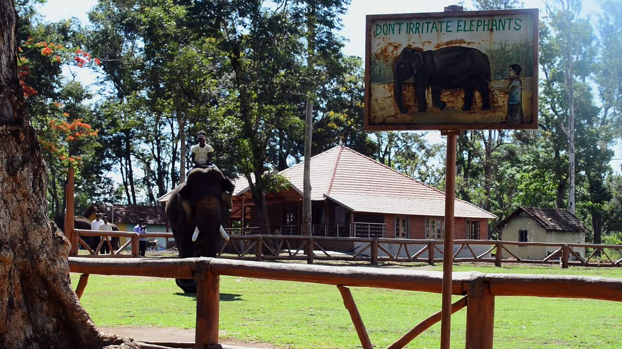 Kampf zwischen Mensch und Elefant in Indien