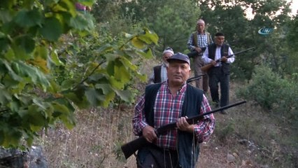 Domuzlar ektikleri mahsullere zarar verince köylüler silahlı nöbete başladı
