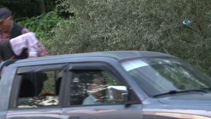 Domuzlar Ektikleri Mahsullere Zarar Verince Köylüler Silahlı Nöbete Başladı