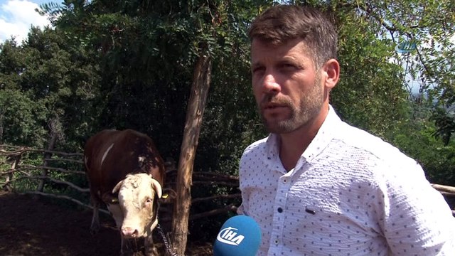 1.5 tonluk Babayiğit, 41 bin TL’ye alıcısını bekliyor