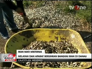 Saling Serang, 40 Ton Ikan Mati di Danau Meksiko