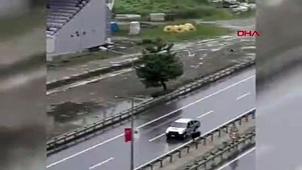 Yola çıkan kurbanlık boğa kazaya neden oldu