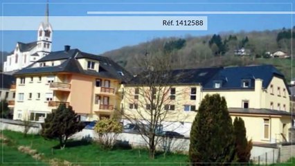 A vendre - Maison - Welscheid (9191) - 1 400m²