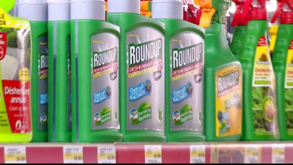 US jury orders Monsanto to pay $289m in Roundup cancer trial