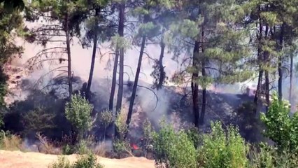 Orman yangını - BURSA