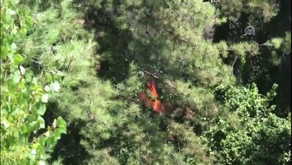 Orman yangını (2) - BURSA