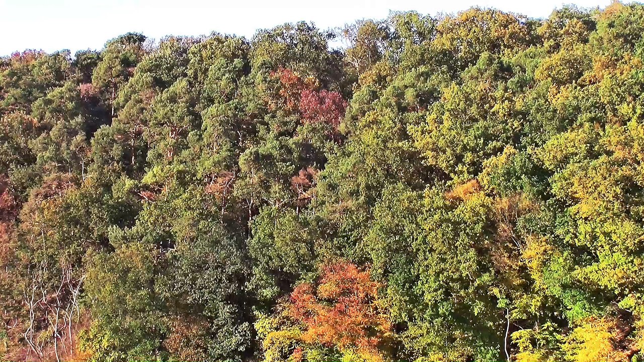 König Konrad Denkmal