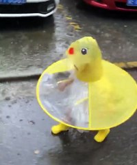 Happiness is simple when you're small.