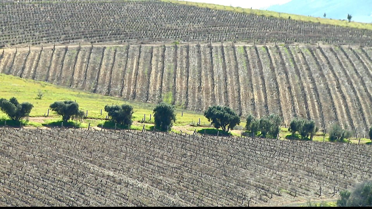 Hundreds outside Cape Town illegally occupy private land