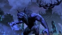 The Elder Scrolls Online: Wolfhunter – Tráiler Quakecon 2018