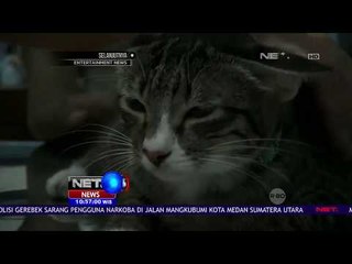Ini Dia Posyandu Kucing Di Karanganyar-NET10