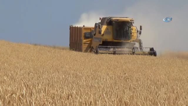 Bitlis Tarım ve Orman Müdürü Fatih Asak: Bu Yıl Yüzde 40 Oranında Verim Artışı Beklemekteyiz