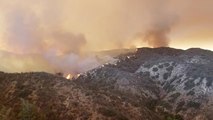 Californie : des milliers d'habitations menacées par les flammes